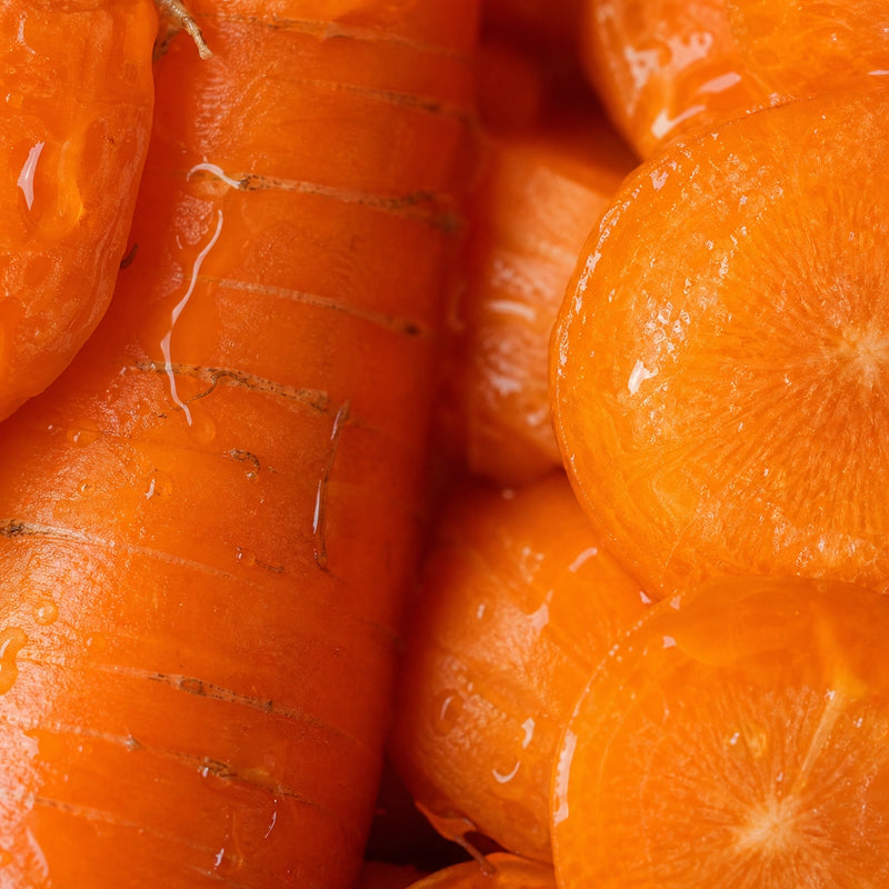 Daucus Carota Sativa (Carrot) Root Extract